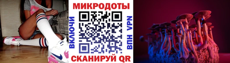 Псилоцибиновые грибы GOLDEN TEACHER  закладки  Александровск-Сахалинский 